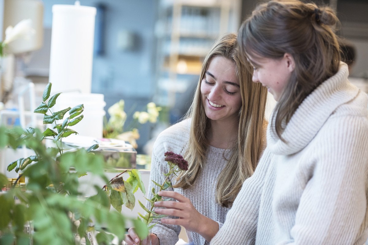 Two people examining plants and flowers in a bright indoor space.